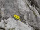 kocbekovopriznanje201429_small.jpg