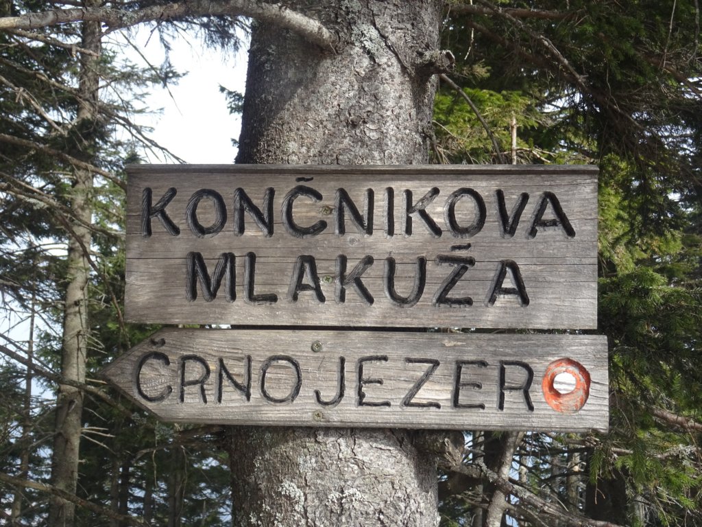 komen20.jpg