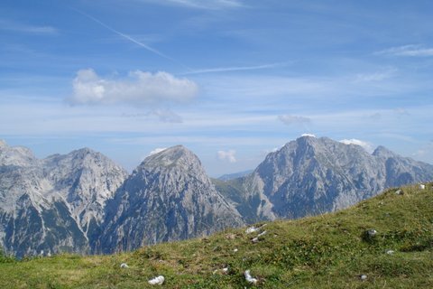 kompotela21.jpg