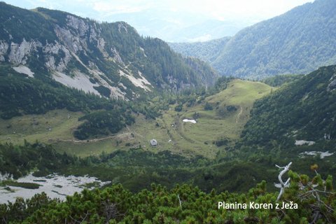 kompotela26.jpg