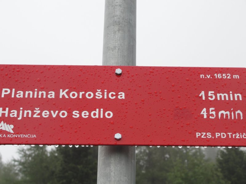 koroica22.jpg