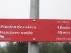 koroica22_small.jpg