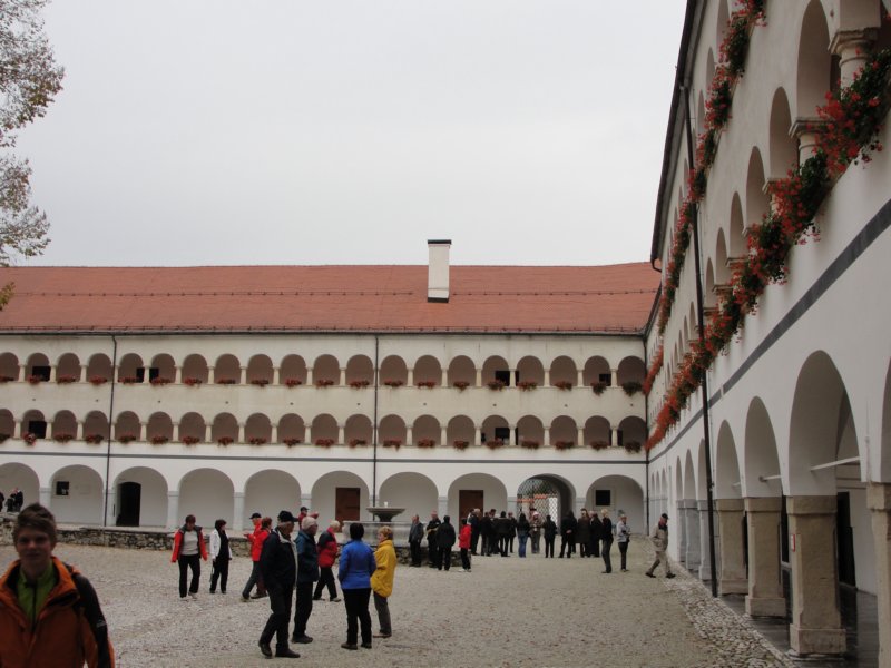 kostanjevica103.jpg