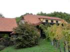 kostanjevica119_small.jpg