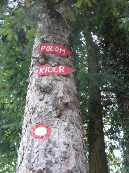 kostanjevica12.jpg