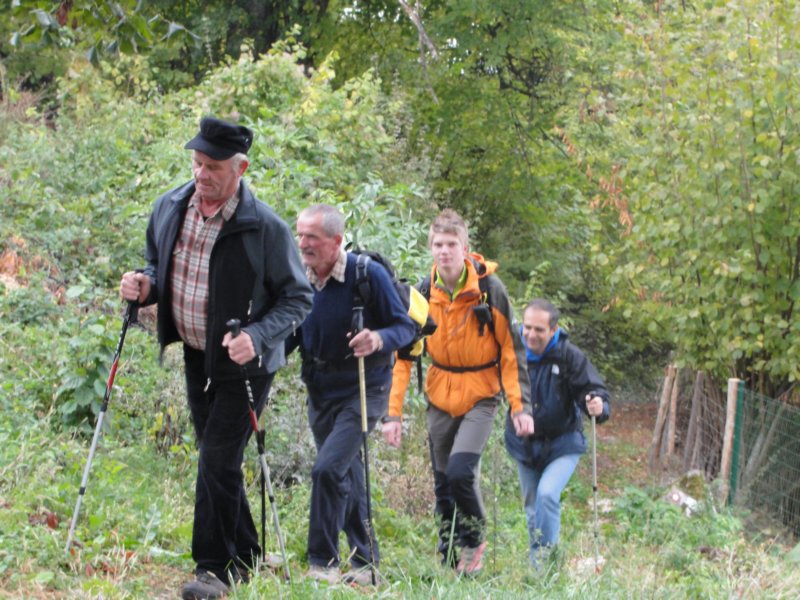 kostanjevica14.jpg