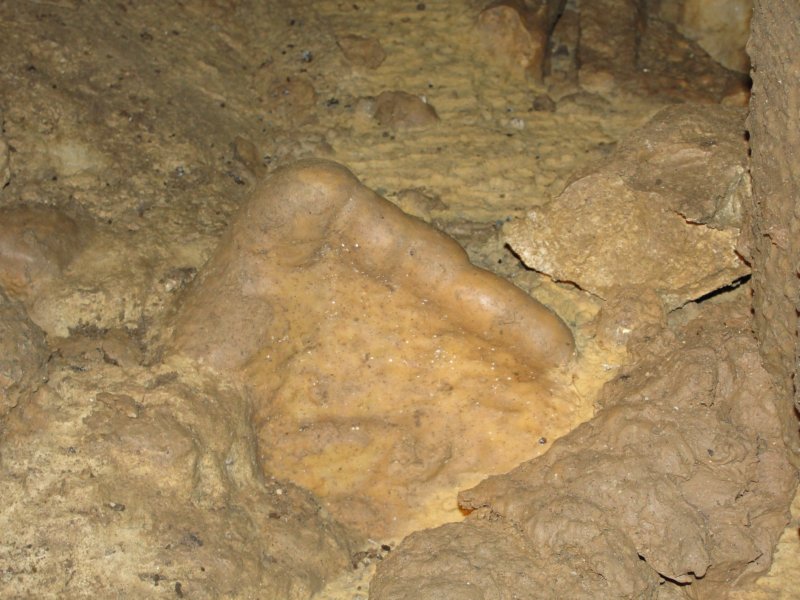 kostanjevica39.jpg