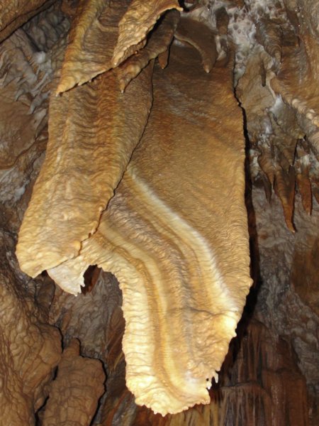 kostanjevica50.jpg