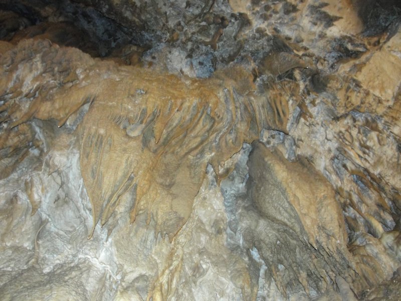 kostanjevica58.jpg