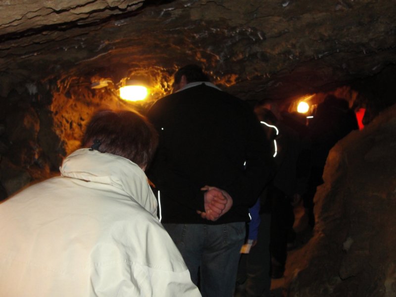 kostanjevica78.jpg
