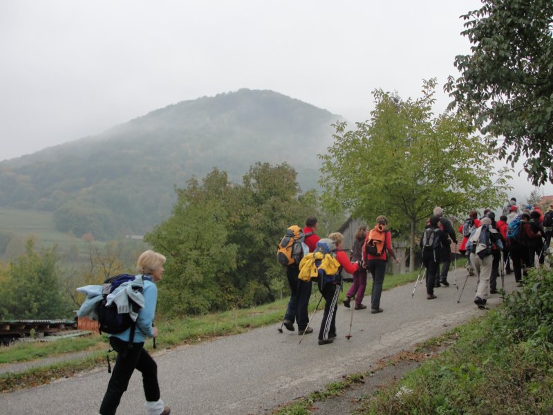 kostanjevica8.jpg