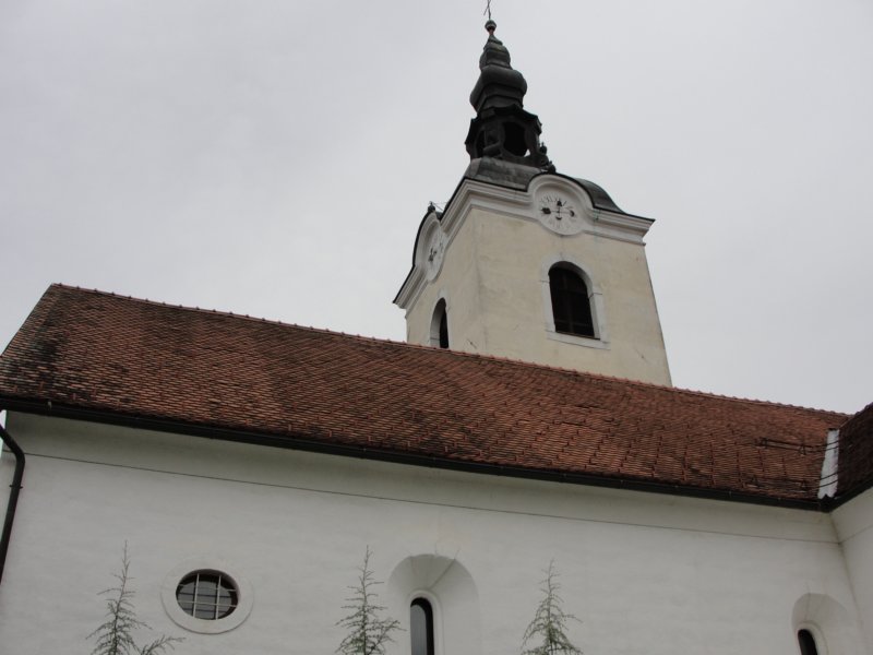 kostanjevica82.jpg