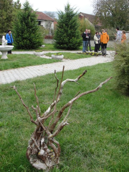 kostanjevica89.jpg