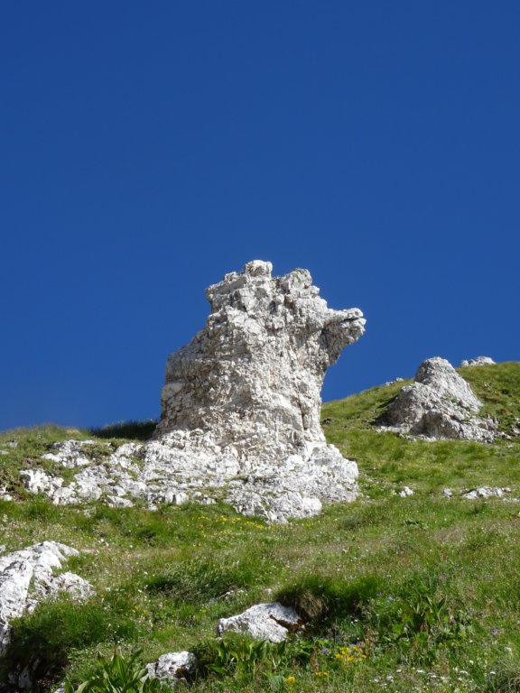 kotrunovepice21.jpg