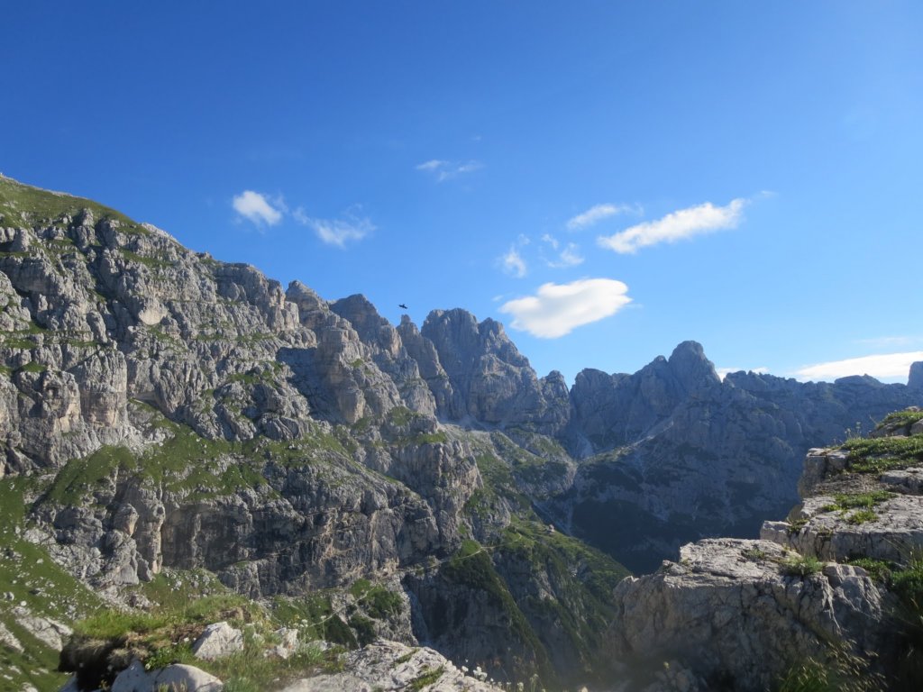 kotrunovepice36.jpg