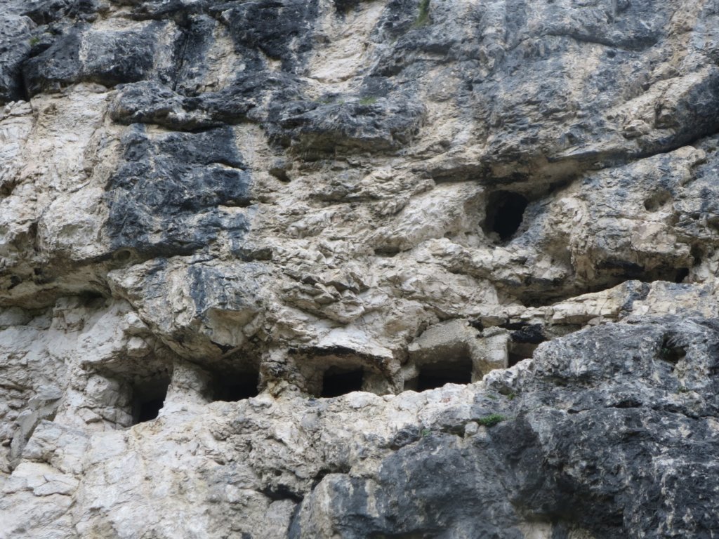 kotrunovepice66.jpg