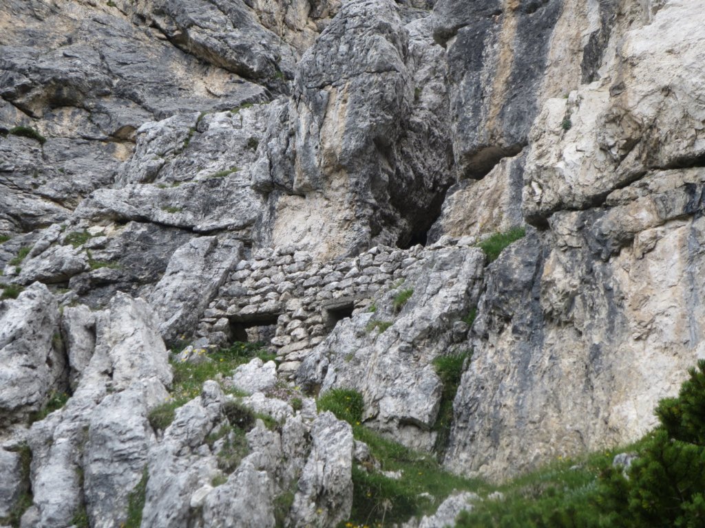 kotrunovepice67.jpg