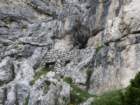 kotrunovepice67_small.jpg