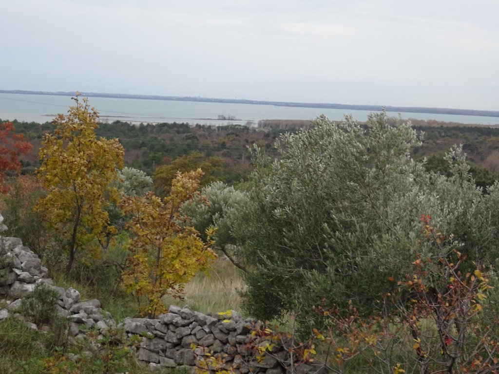 kras14.jpg