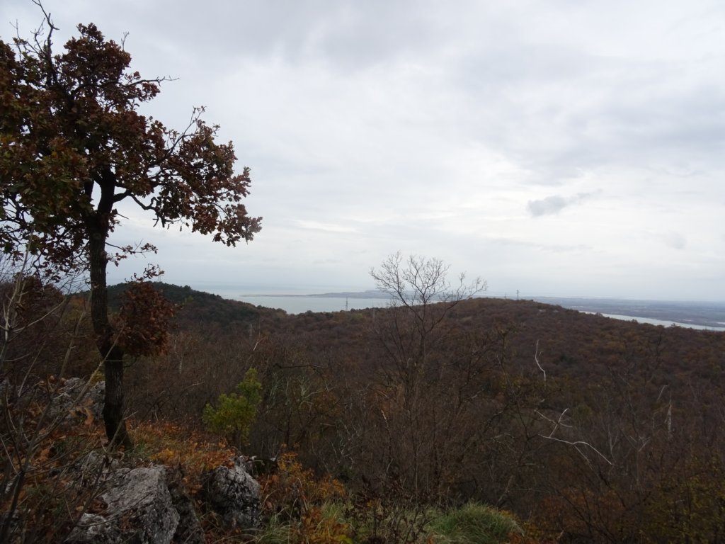 kras35.jpg