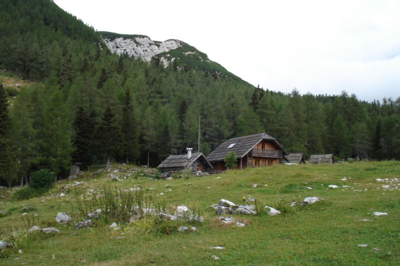 krievnik1.jpg