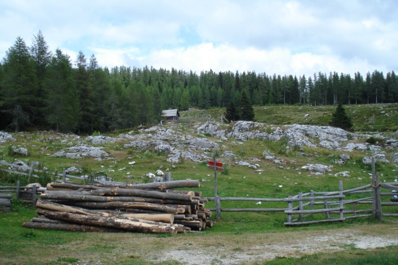 krievnik25.jpg