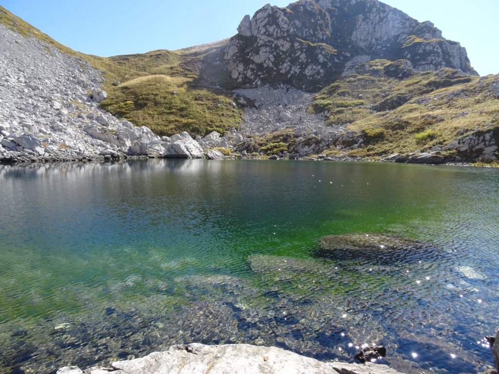 krn80.jpg