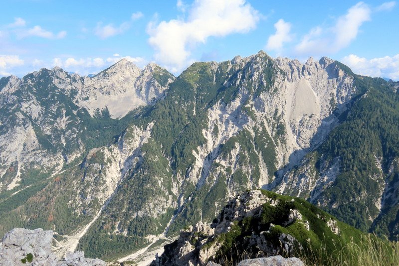 krnikaglavica11.jpg