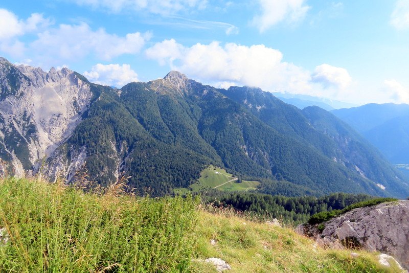 krnikaglavica13.jpg