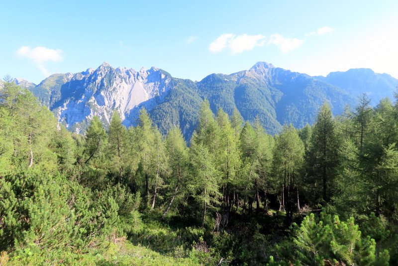 krnikaglavica6.jpg