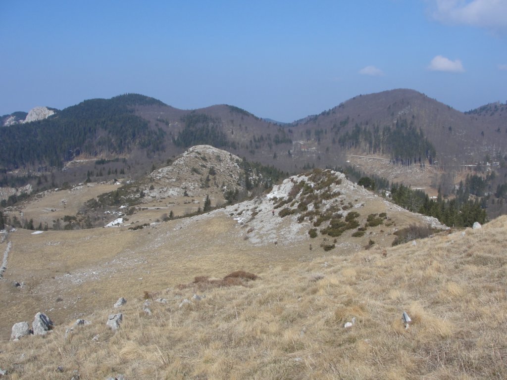 kucelj24.jpg