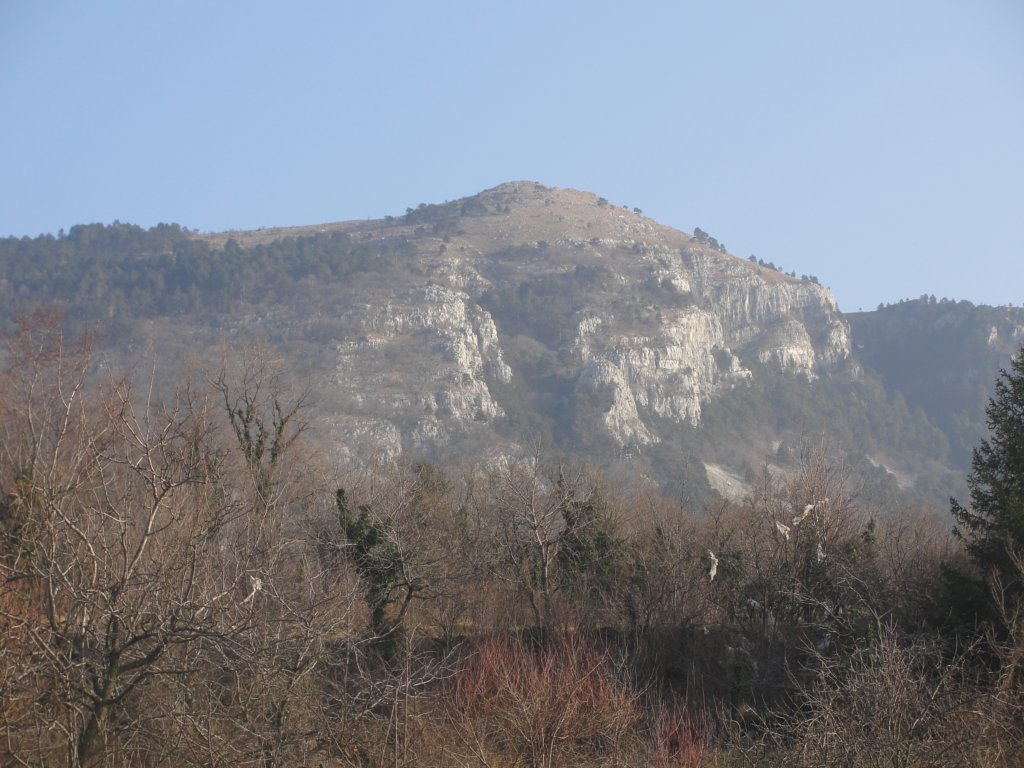 kucelj3.jpg