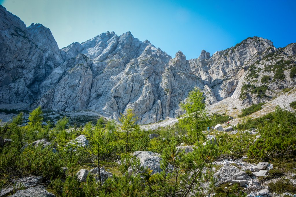 kurjivrh201741.jpg