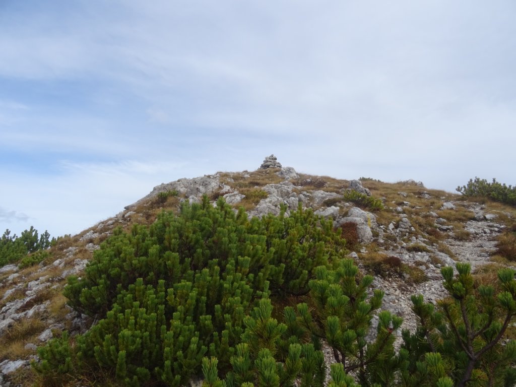 kraljevskapica18.jpg