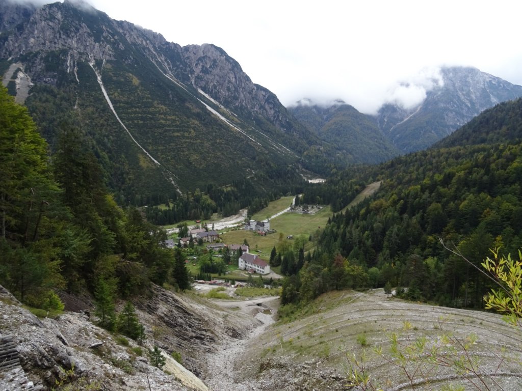 kraljevskapica40.jpg