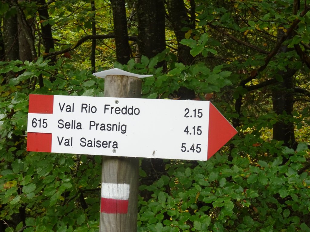 kraljevskapica43.jpg
