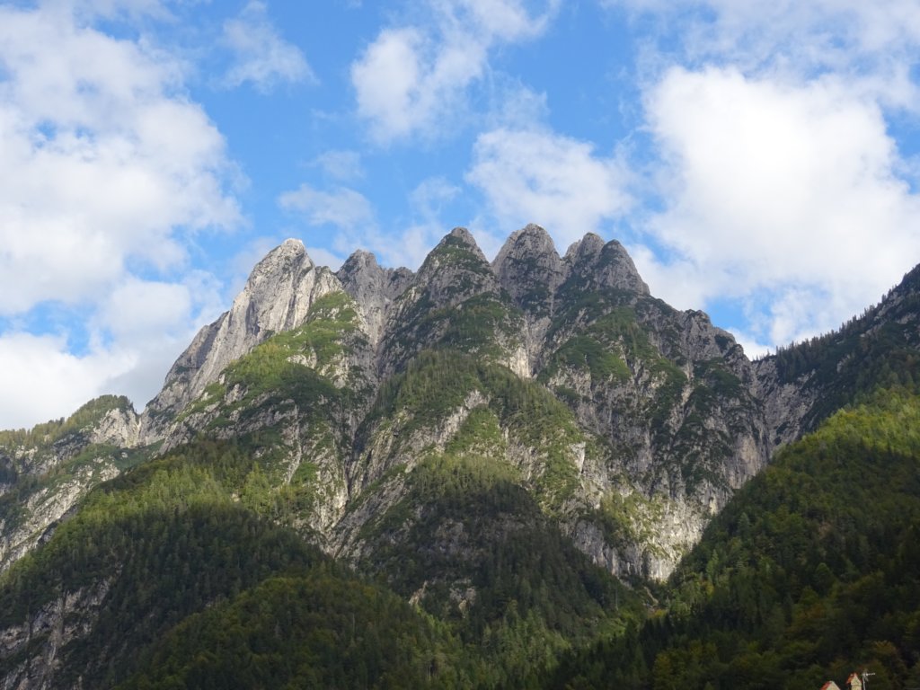 kraljevskapica49.jpg