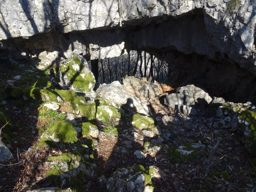 labinska11.jpg