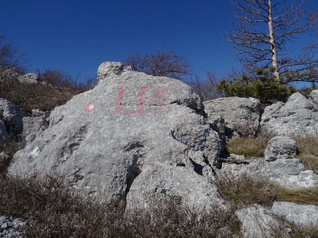 labinska38.jpg