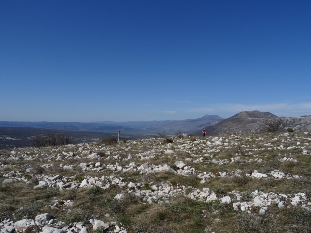 labinska74.jpg