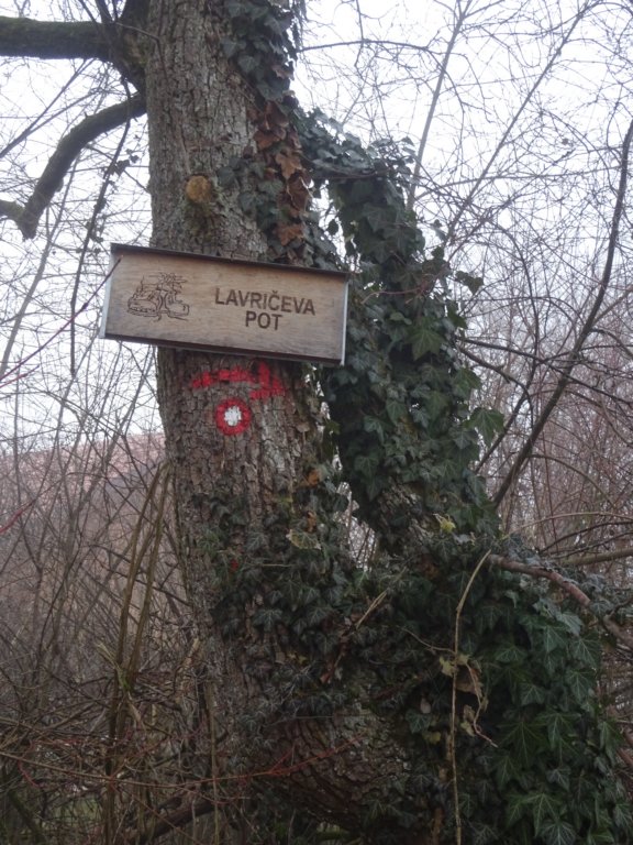 lavrievapot31.jpg