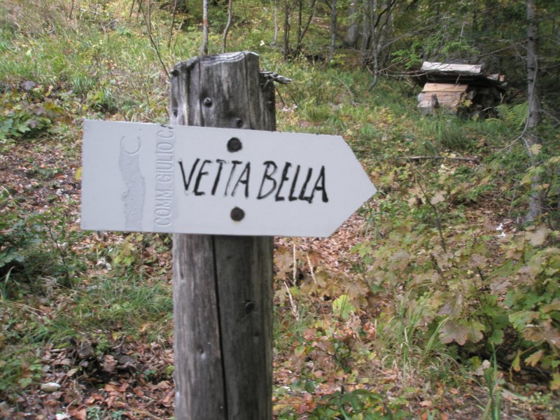 lepaglava17.jpg