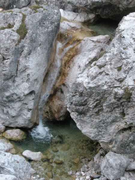 lepaglava4.jpg