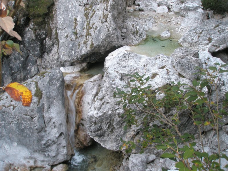 lepaglava5.jpg