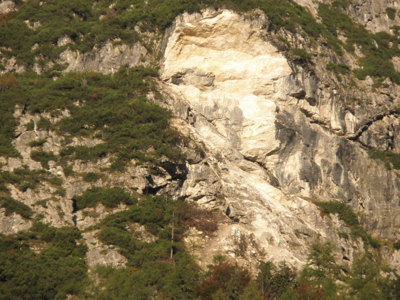 lepaglava9.jpg