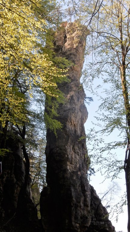 tonglovsteber72.jpg