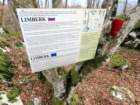 limberk202613_small.jpg