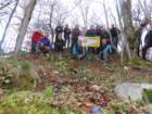 limberk202614_small.jpg