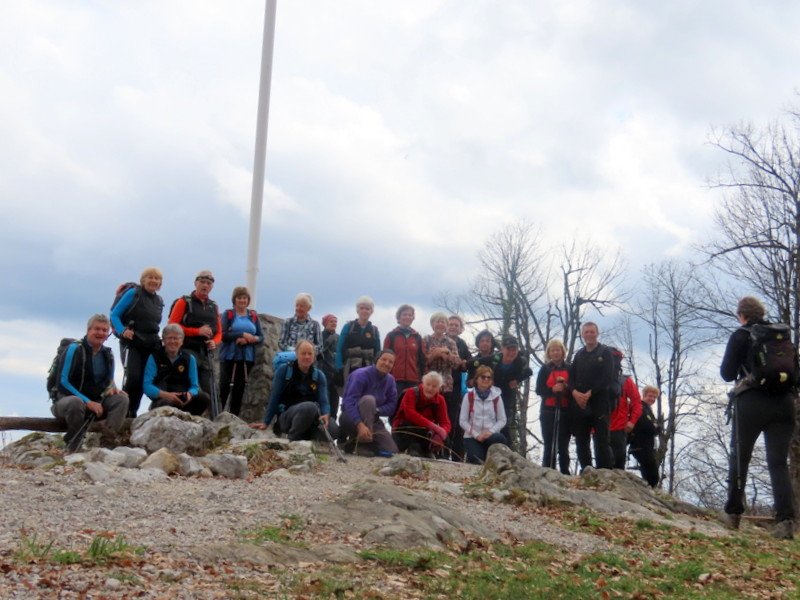 limberk202617.jpg