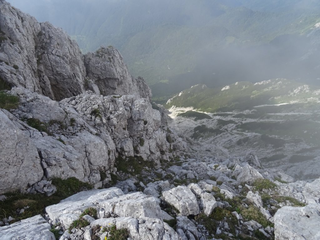 limberkasmer14.jpg